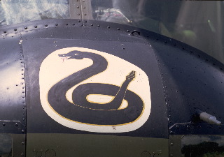 Rattler Nose Art